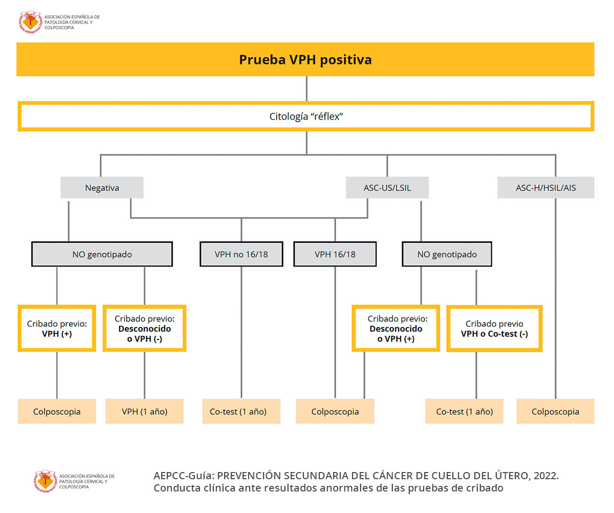 Algoritmos AEPCC Guía de Prevención CCU